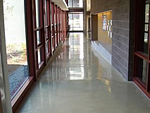 Elementary School Polished Concrete Floor